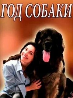 Год собаки