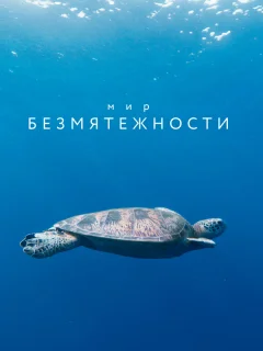 Мир безмятежности