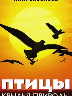 Птицы: Крылья природы