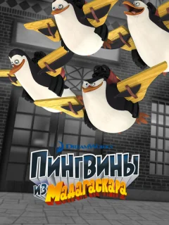 Пингвины из Мадагаскара