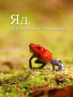 Яд. Достижение эволюции