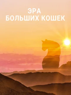 Эра больших кошек