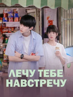 Лечу тебе навстречу