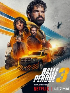 Шальная пуля 3