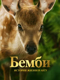 Бемби. История жизни в лесу