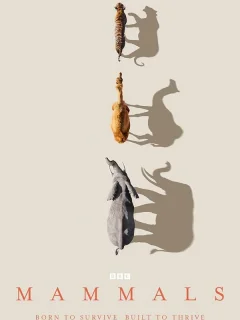 Млекопитающие