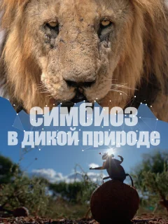 Симбиоз в дикой природе