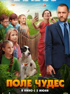 Поле чудес