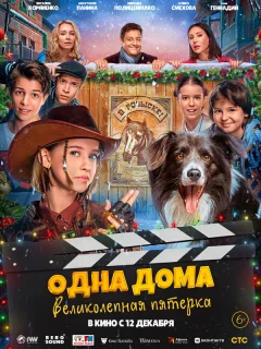 Одна дома: Великолепная пятерка