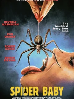 Паучонок, или Безумнейшая история из когда-либо расказанных