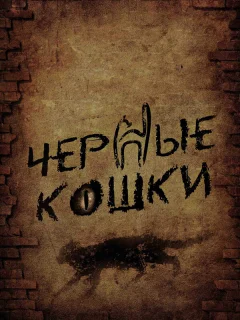 Черные кошки