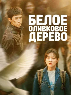 Белое оливковое дерево