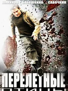 Перелётные птицы