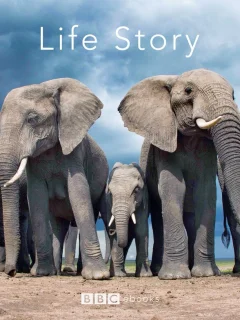 История жизни
